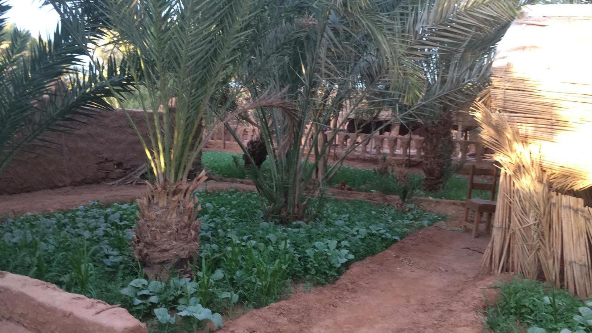 Auberge La Palmeraie M'Hamid Exteriér fotografie